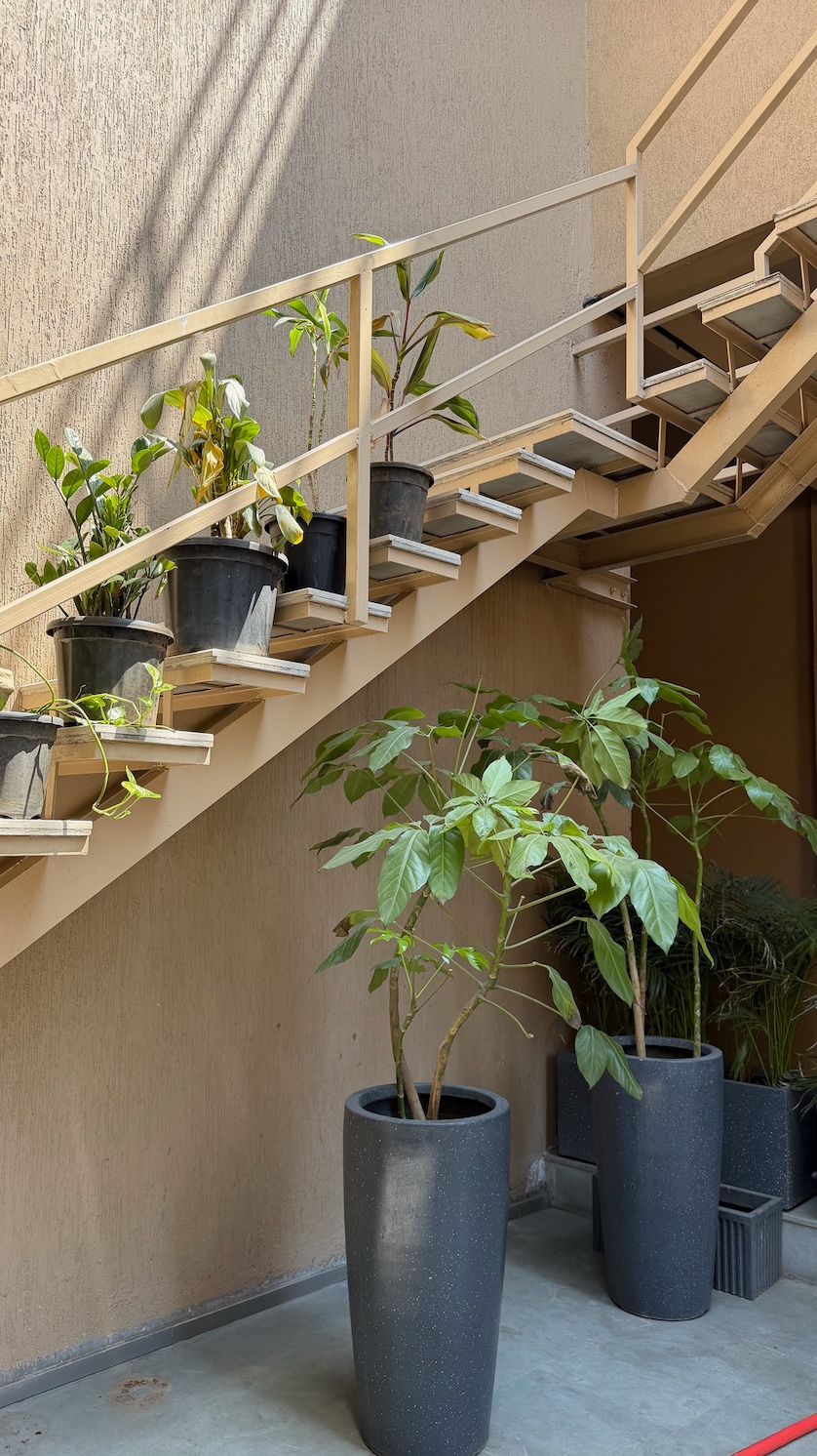 Garden pathway
